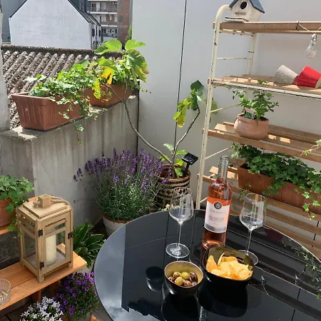 Violet 4* Gent