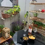 Violet 4* Gent