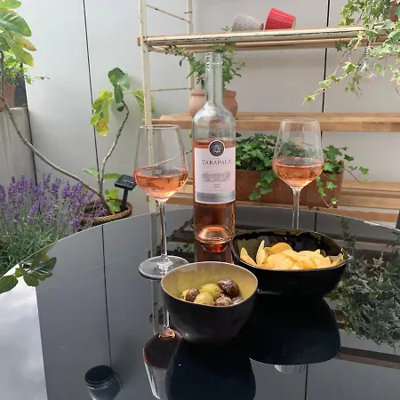 Violet Bed and breakfast 4*