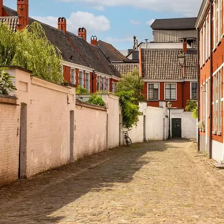 Violet 4* Gent