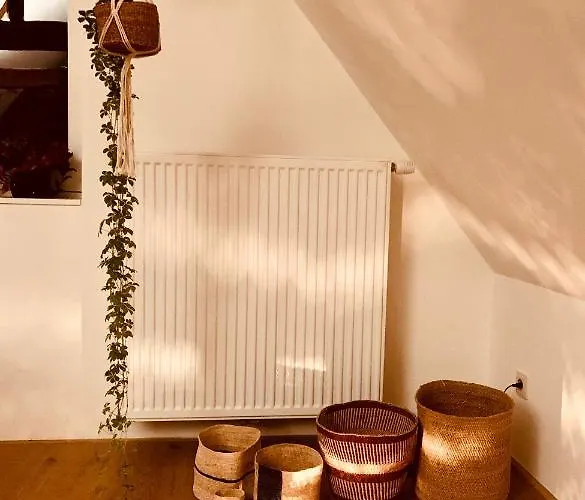 Bed & Breakfast Violet Gent