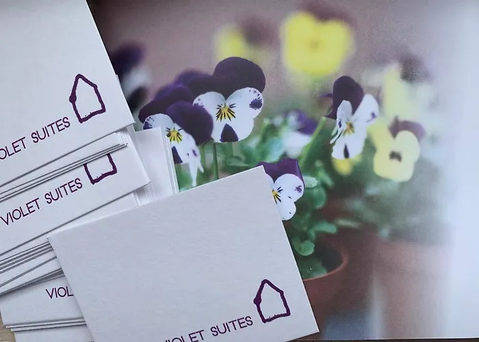Violet Bed & Breakfast