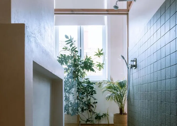 Bed & Breakfast Violet