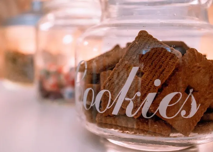 Violet Bed & Breakfast