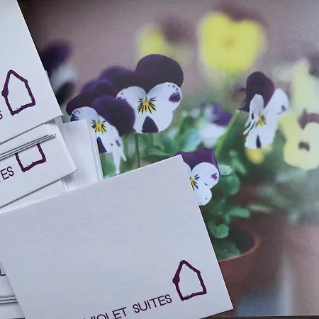 Violet 住宿加早餐酒店